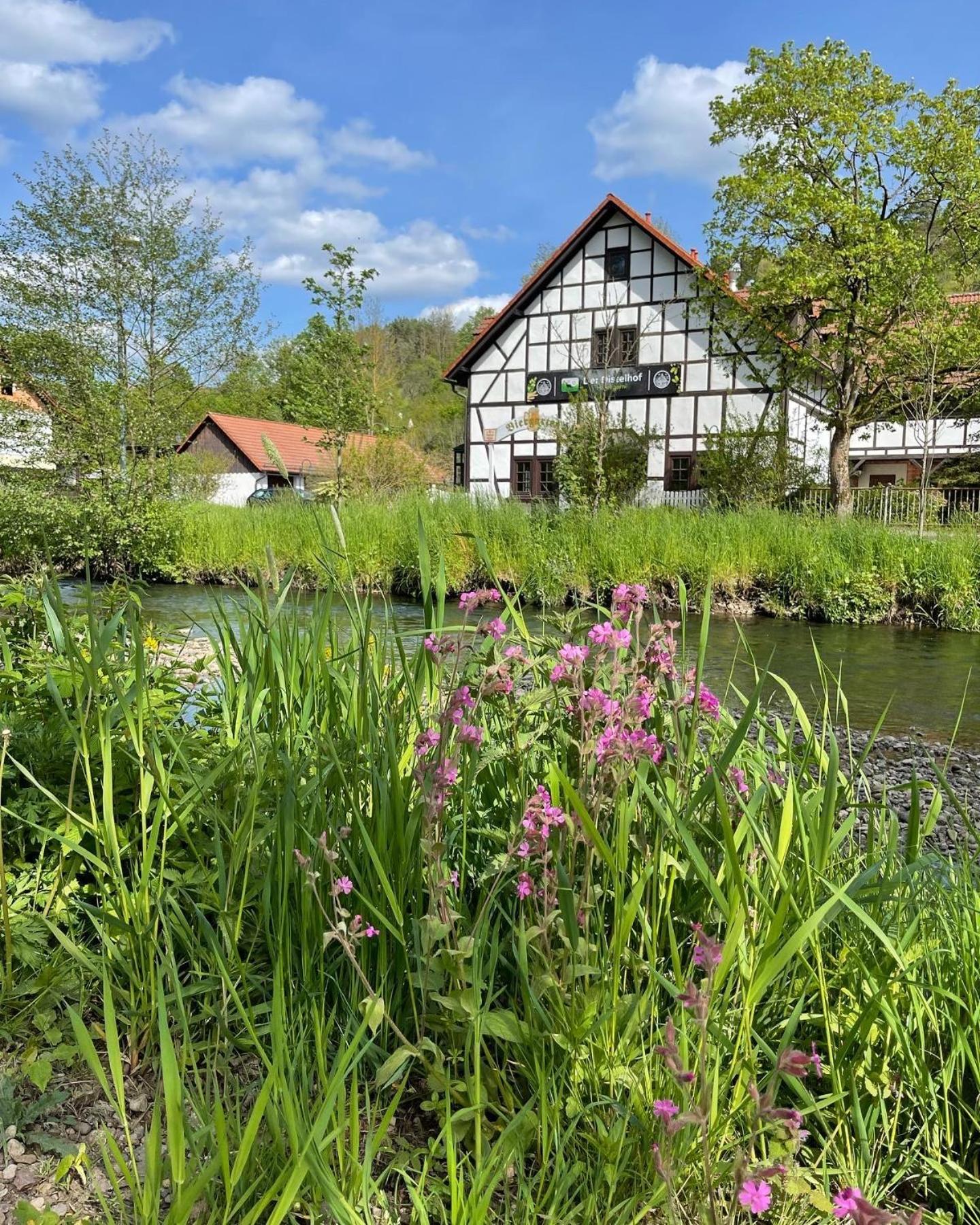Landhotel Der Distelhof Mit Scheunencafe Dillstadt Eksteriør bilde